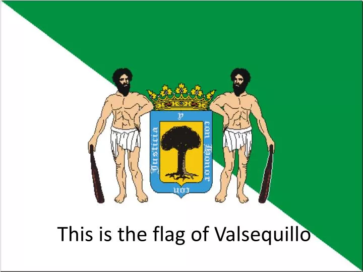 this is the flag of valsequillo