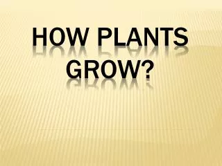 HOW PLANTS GROW?