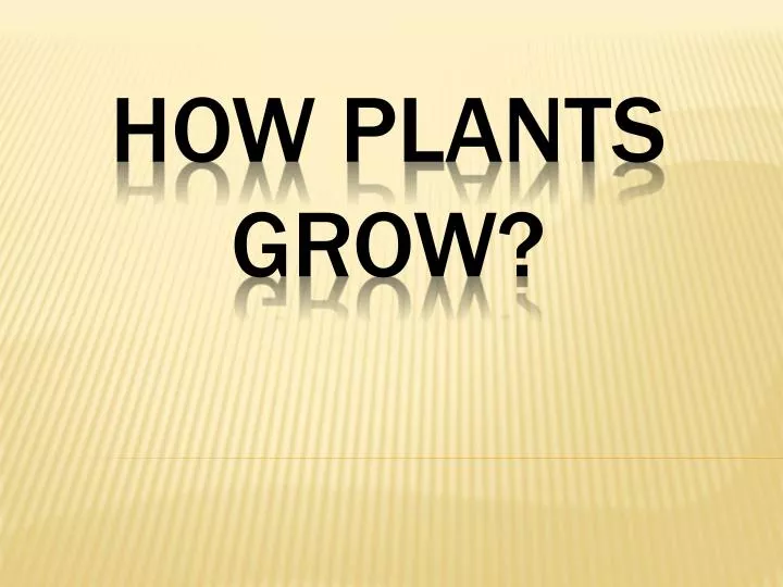 how plants grow