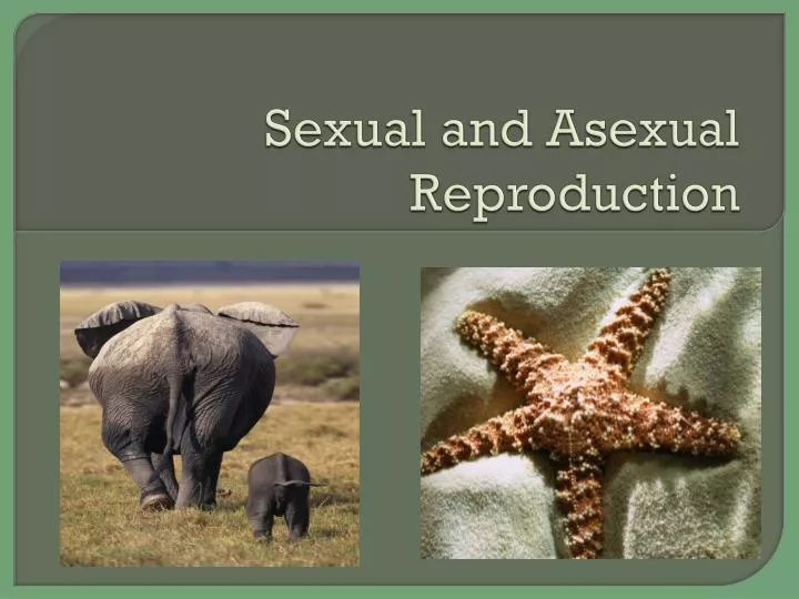 sexual and asexual reproduction