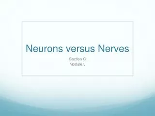 neurons versus nerves