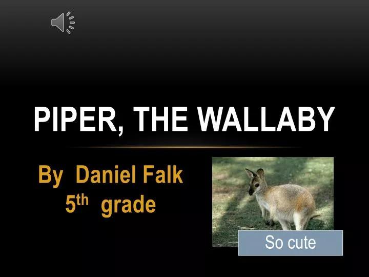 piper the wallaby