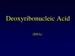 Deoxyribonucleic Acid - slide 1