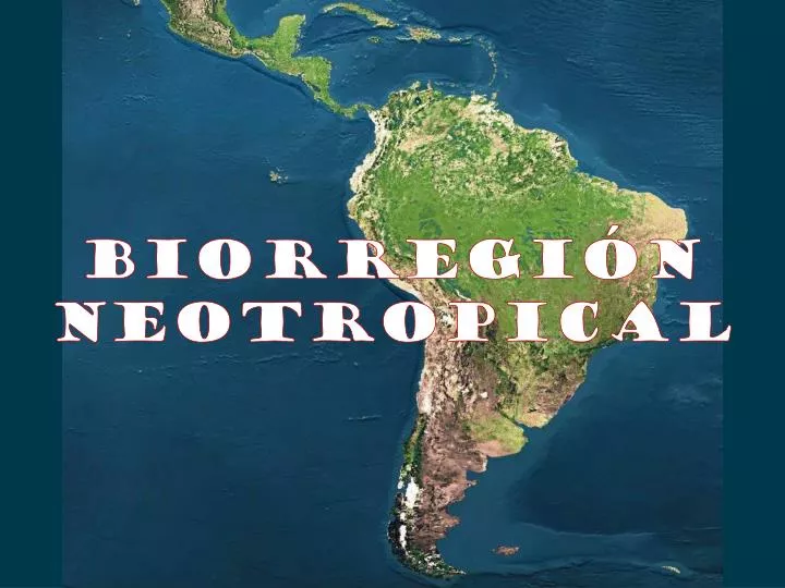 biorregi n neotropical