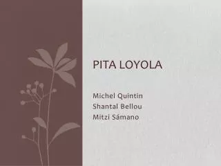 Pita loyola