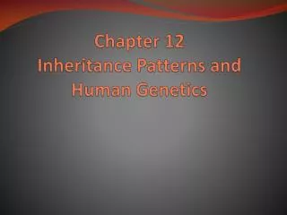 Chapter 12 Inheritance Patterns and Human Genetics