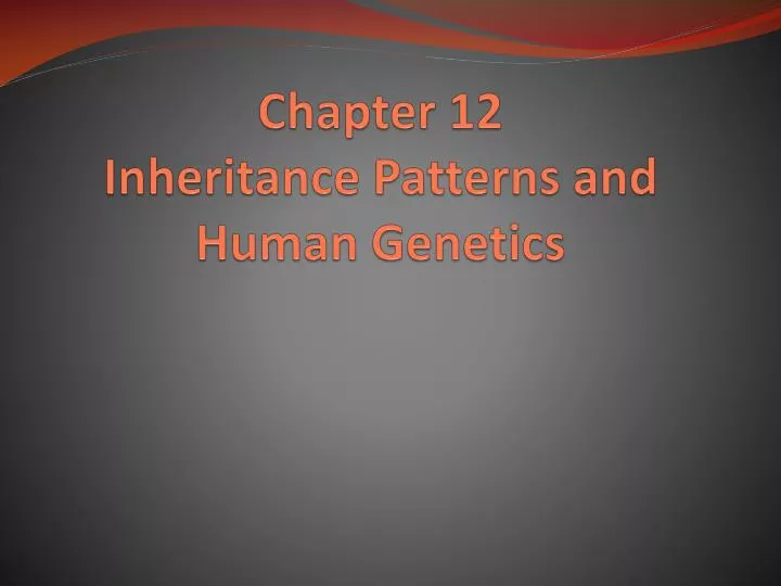 chapter 12 inheritance patterns and human genetics