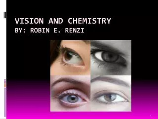 Vision and Chemistry By: Robin E. Renzi