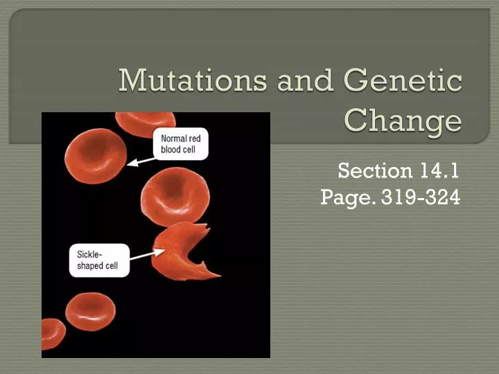 mutations and genetic change