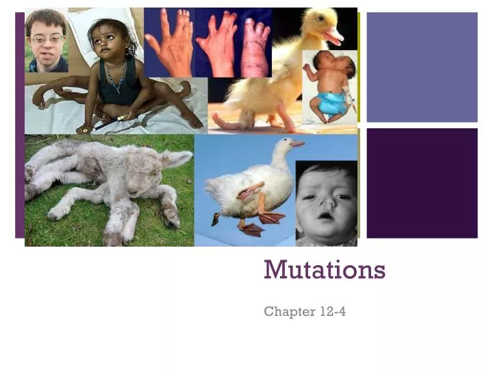 mutations