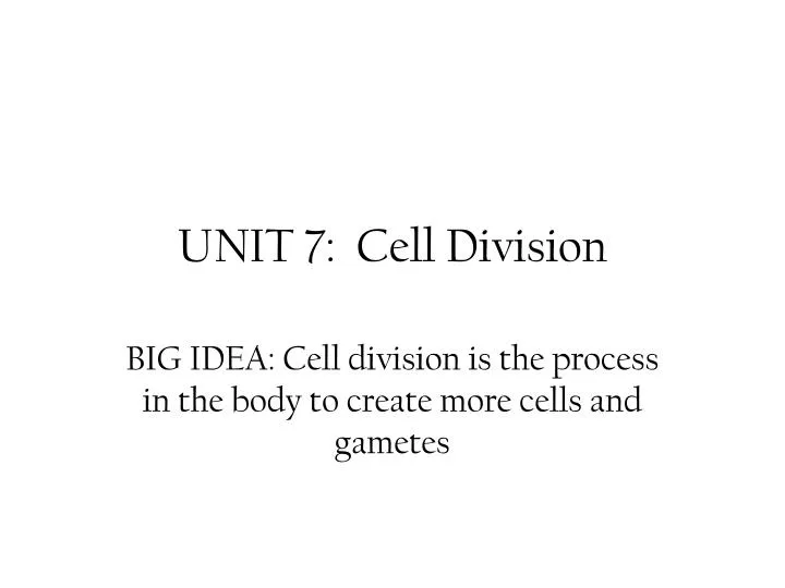 unit 7 cell division