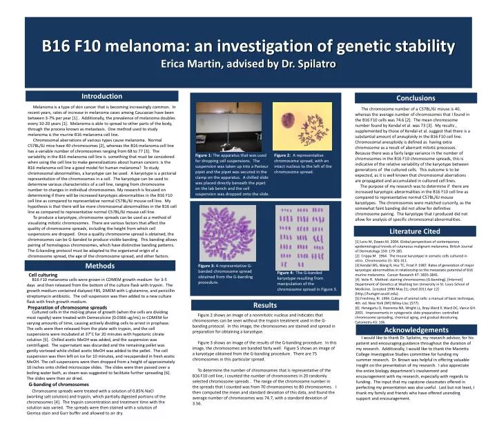b16 f10 melanoma an investigation of genetic stability erica martin advised by dr spilatro