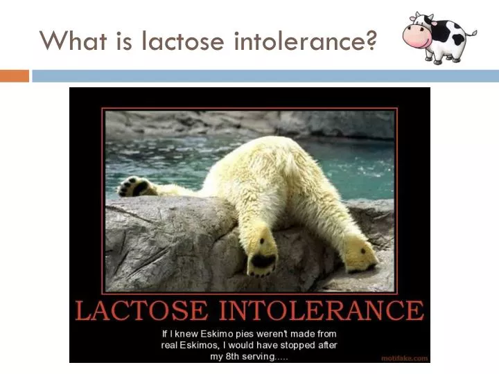 what is lactose intolerance