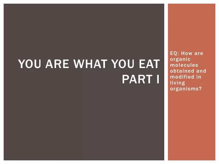 you are what you eat part i