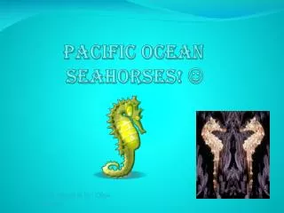 Pacific Ocean seahorses! 