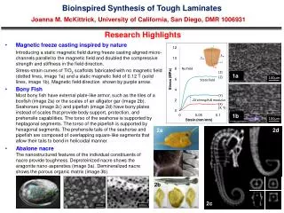 Bioinspired Synthesis of Tough Laminates
