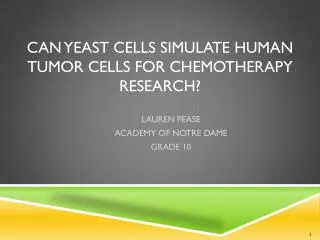 Can Yeast Cells Simulate HUMAN TUMOR CELLS FOR CHEMOTHERAPY RESEARCH?