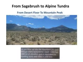 From Sagebrush to Alpine Tundra