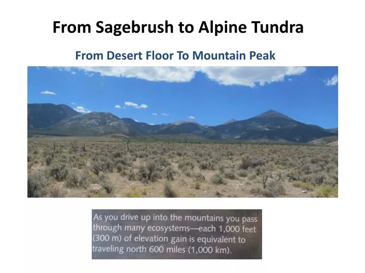 from sagebrush to alpine tundra