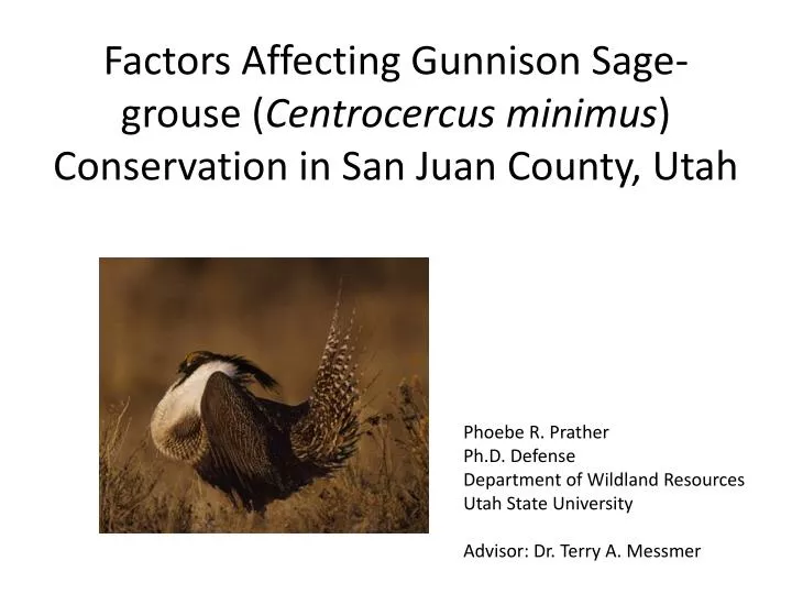 factors affecting gunnison sage grouse centrocercus minimus conservation in san juan county utah