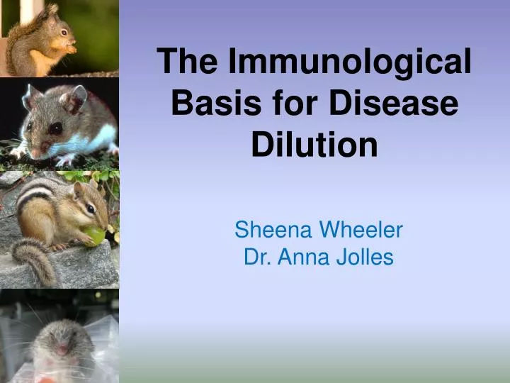 the immunological basis for disease dilution