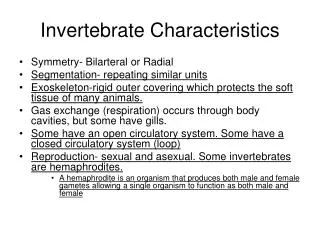 Invertebrate Characteristics