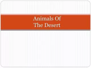 Animals Of The Desert