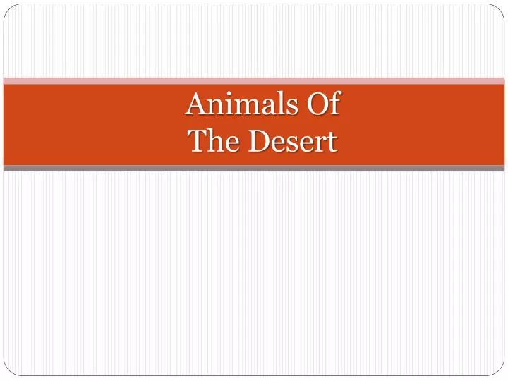 animals of the desert