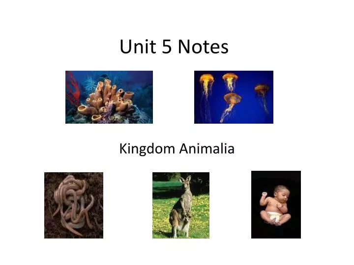 unit 5 notes