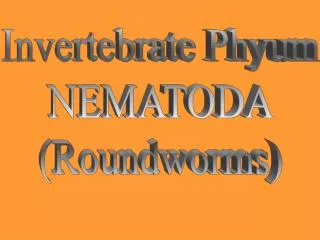 Invertebrate Phyum NEMATODA (Roundworms)