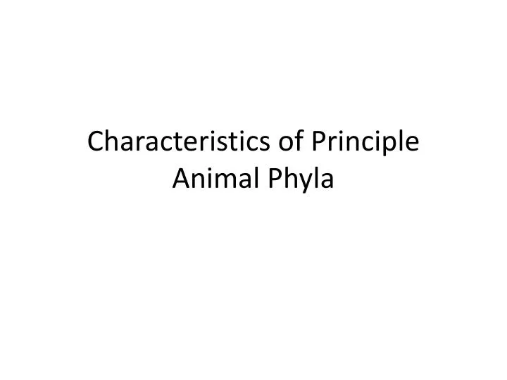 characteristics of principle animal phyla