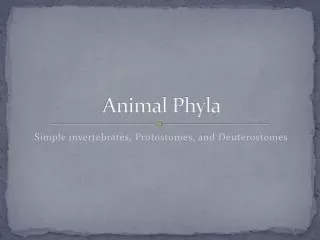 Animal Phyla