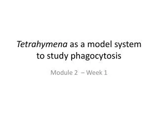 Tetrahymena as a model system to study phagocytosis