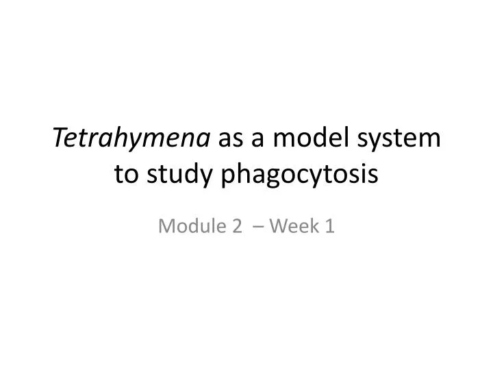 tetrahymena as a model system to study phagocytosis