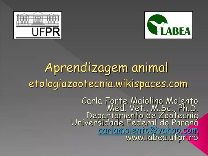 aprendizagem animal etologiazootecnia wikispaces com