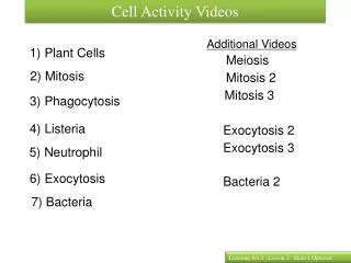 Cell Activity Videos