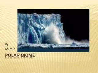 Polar Biome
