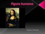 Figura humana - slide 1