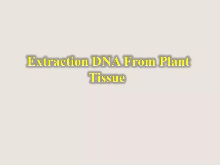 extraction dna from plant tissue