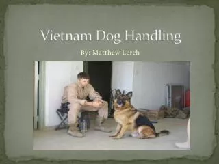 Vietnam Dog Handling