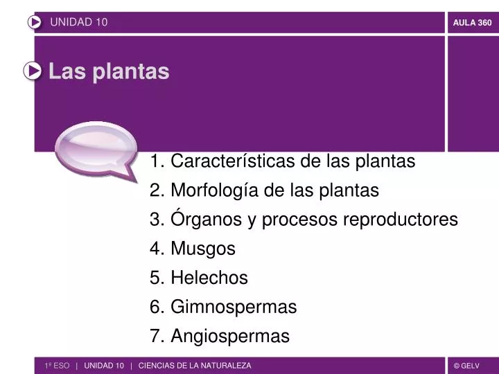 las plantas