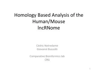Homology Based Analysis of the Human/Mouse lncRNome