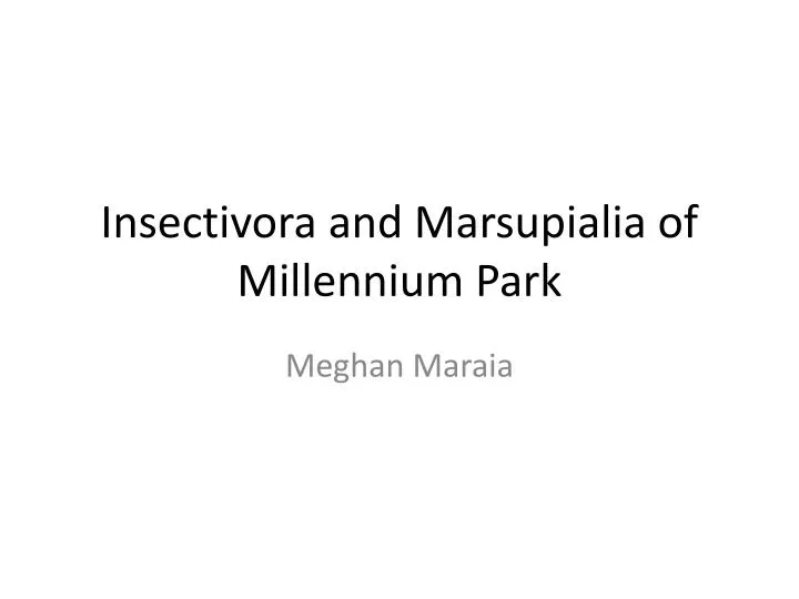 insectivora and marsupialia of millennium park