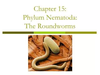 Chapter 15: Phylum Nematoda : The Roundworms