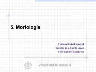 5 morfolog a