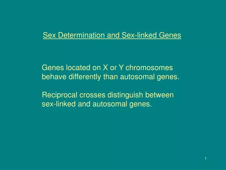 sex determination and sex linked genes