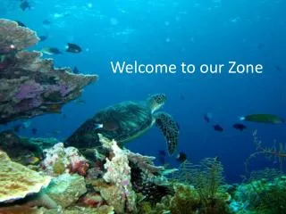 welcome to our zone