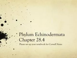 Phylum Echinodermata Chapter 28.4