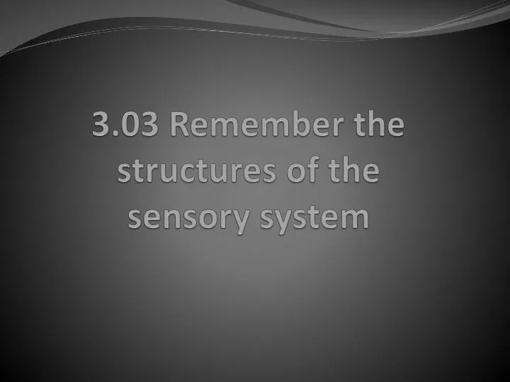 3 03 remember the structures of the sensory system