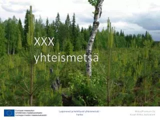 xxx n yhteismets